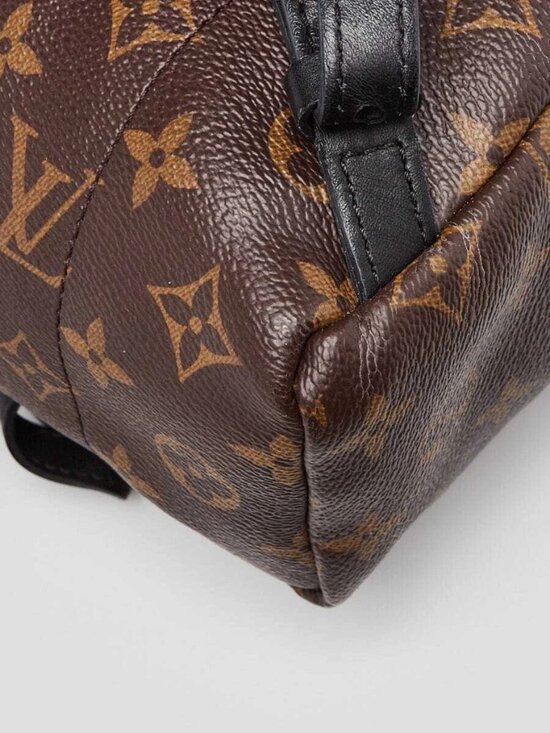Louis Vuitton Monogram Canvas Palm Springs PM Backpack Bag main image 9